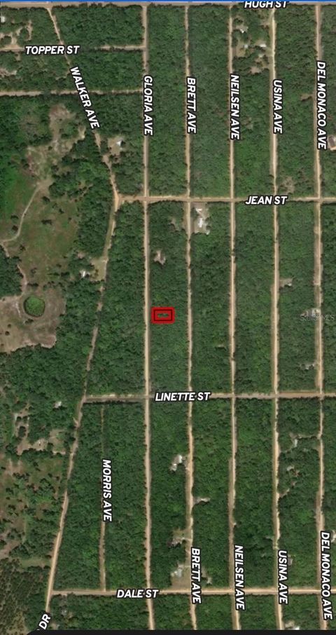 LOT 8 GLORIA AVENUE INTERLACHEN FL 32148