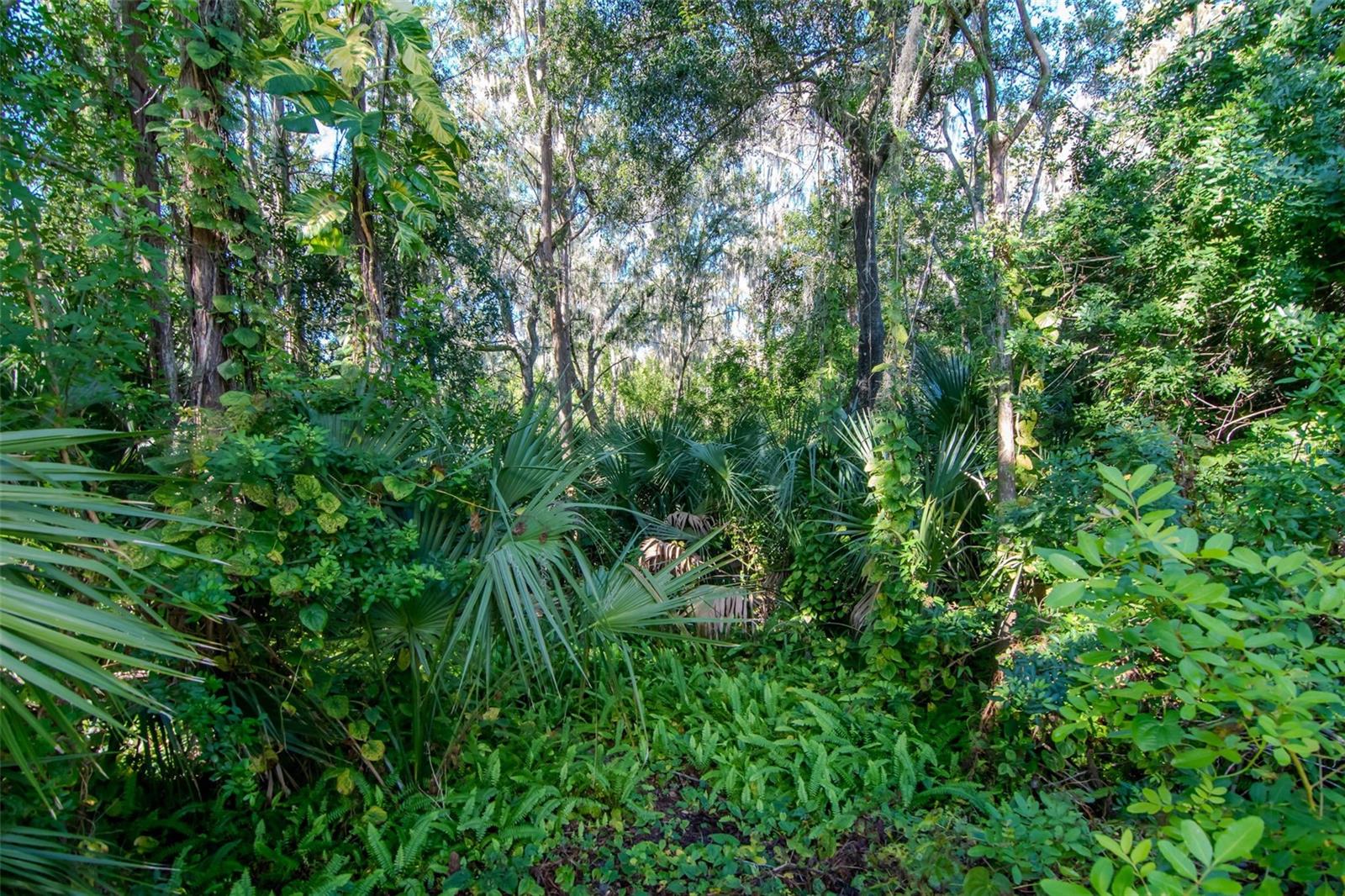 EAST LAKE WOODLANDS WOODLAKE RUN - Residential