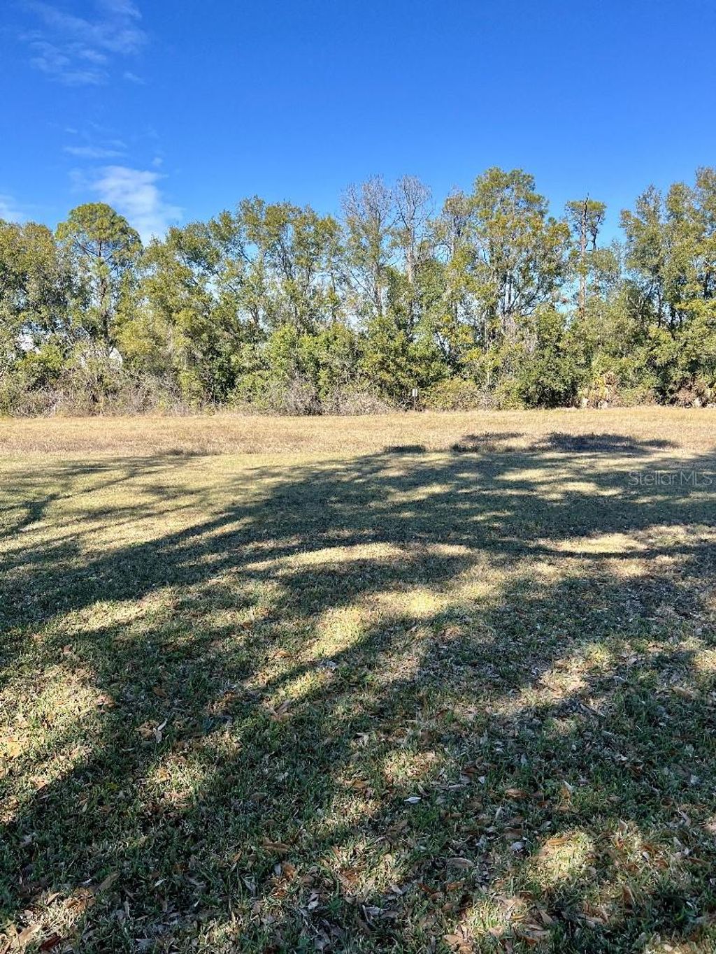 Photo of 6899 Nicole Lane, Largo, FL 33771 (MLS # TB8468463)