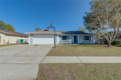 A home in EUSTIS