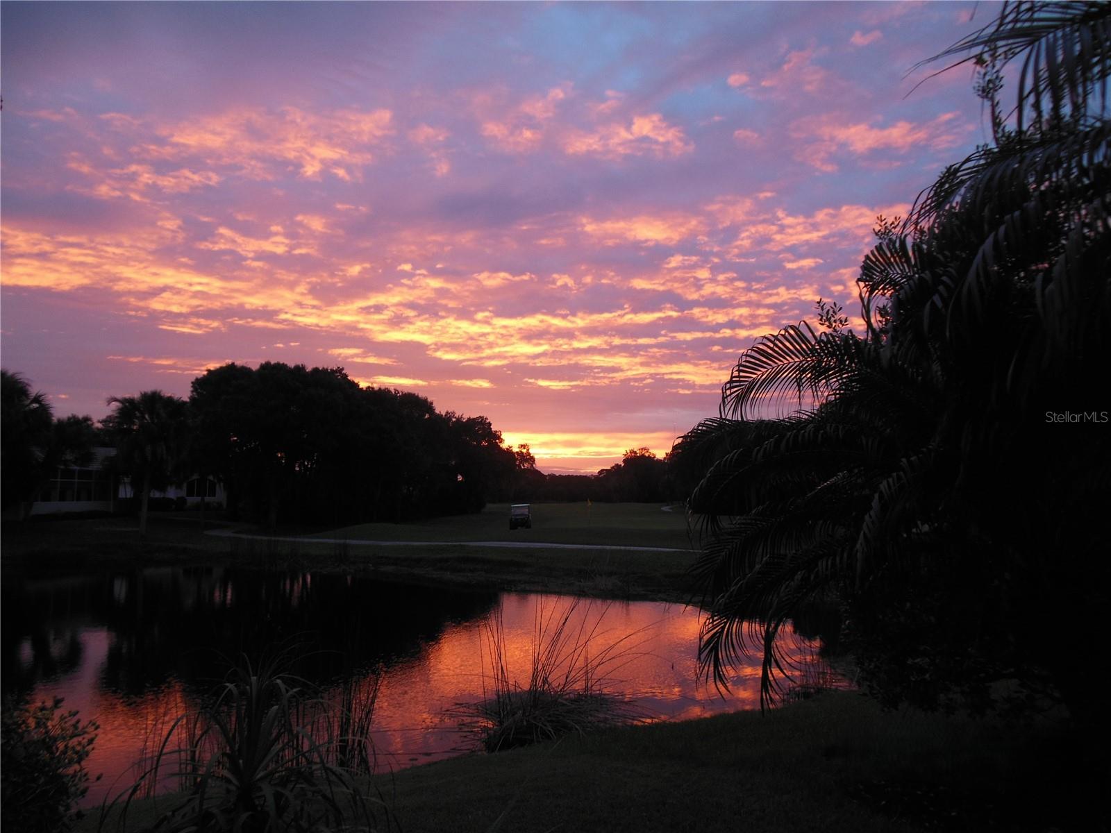 SAWGRASS - Residential