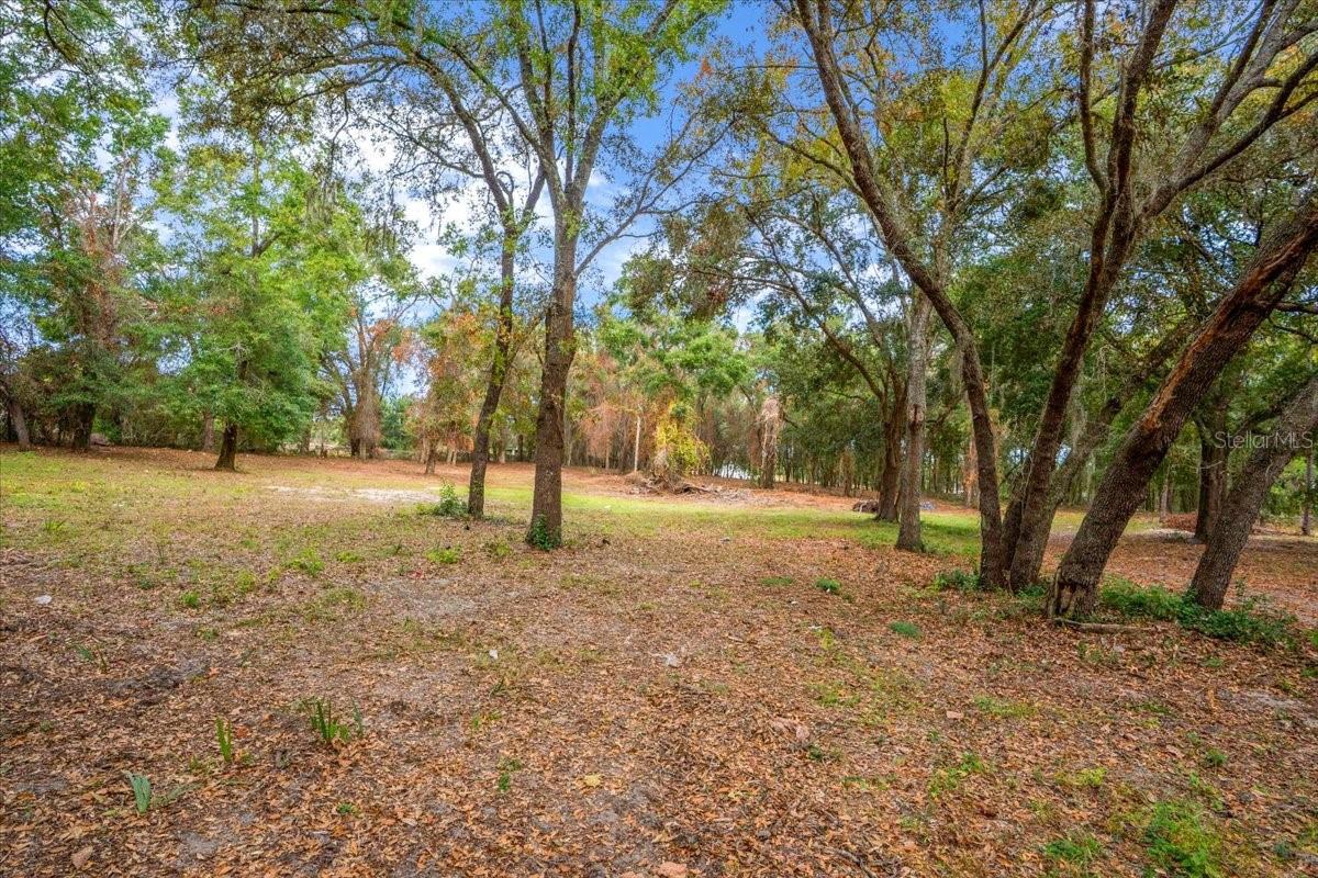 SE HWY 42 SUMMERFIELD FL 34491