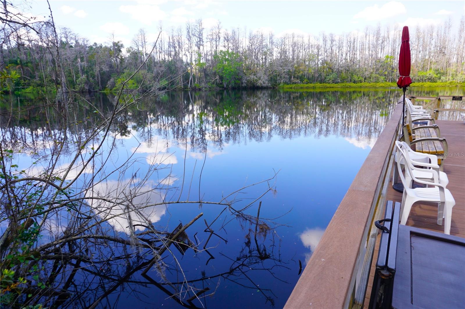 PARADISE LAKES CONDO - Residential