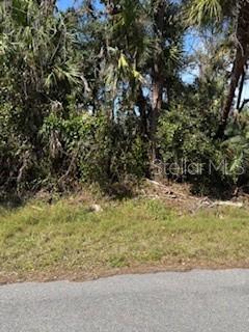 Photo of 261 Dorman Street, Port Charlotte, FL 33953 (MLS # N6137033)