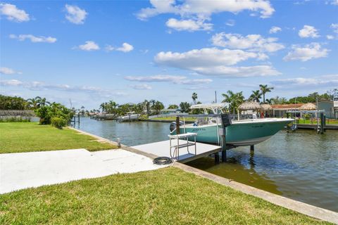 11599 GROVE STREET SEMINOLE FL 33772