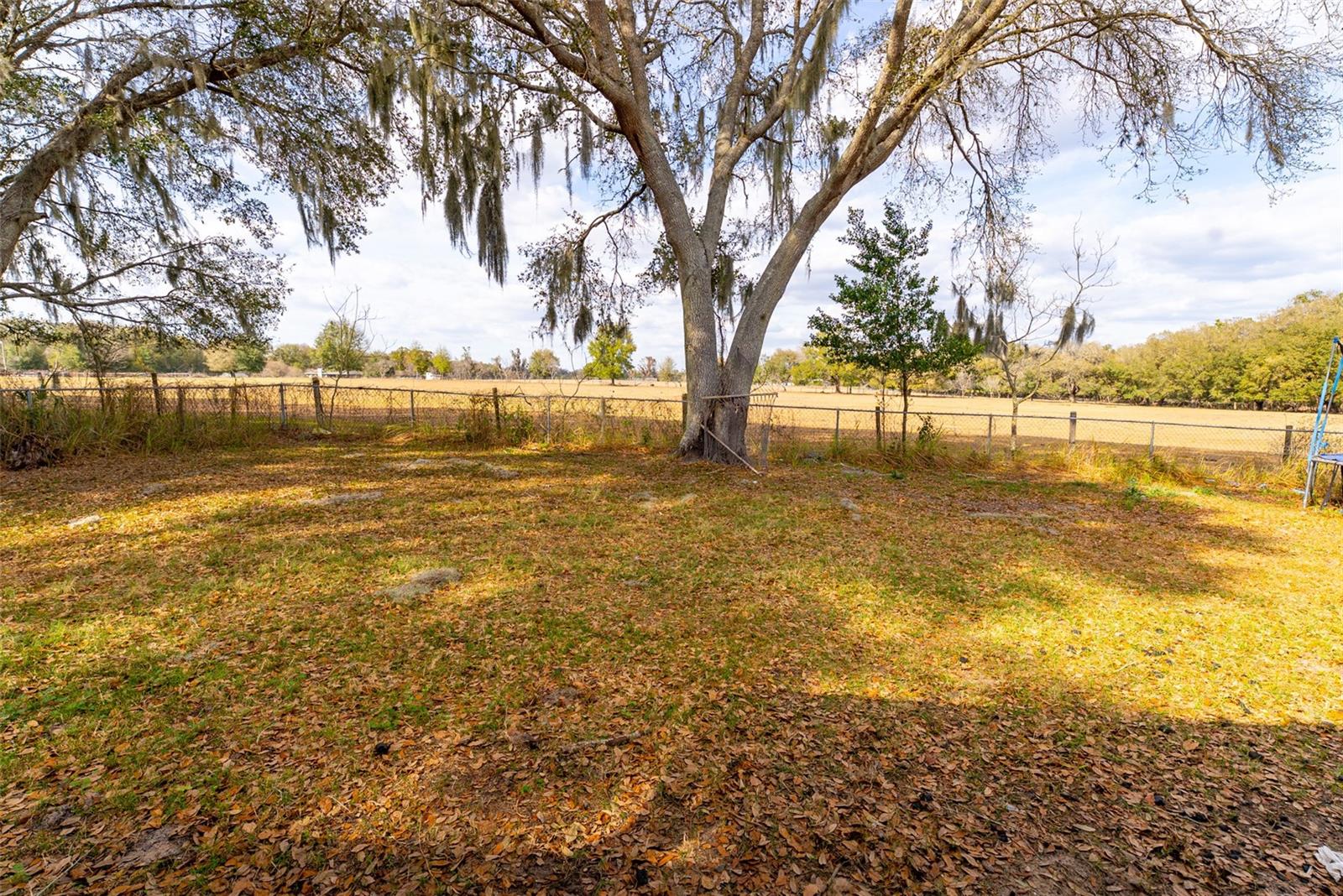 SILVER SPRINGS SHORES - Residential