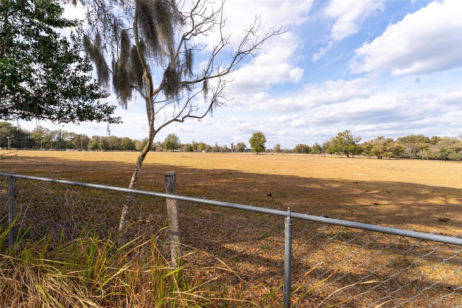 SILVER SPRINGS SHORES - Residential