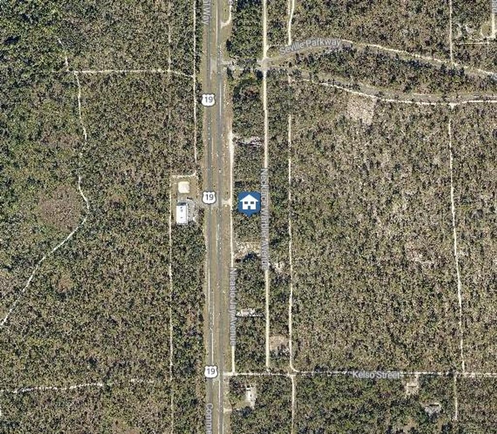 Photo of 16 Necklace Warbler Avenue, Brooksville, FL 34614 (MLS # W7881611)
