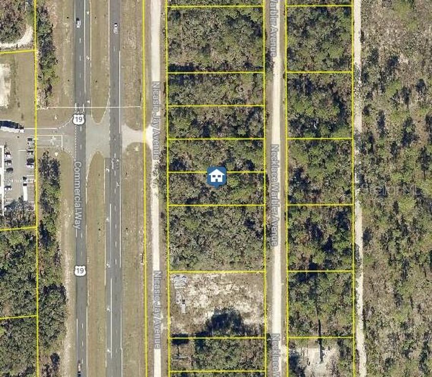 *Four individual lots available — sellable together or separately to meet buyer needs.* Discover a rare opportunity to own one or multiple beautiful vacant lots in the Royal Highlands area of Weeki Wachee, Florida. These parcels provides a blank canvas for your future home, investment property, or long-term land holding. Located in desirable Hernando County, these lots are nestled in a peaceful residential neighborhood, just minutes from major roadways, shopping, dining, and outdoor attractions of the Nature Coast.