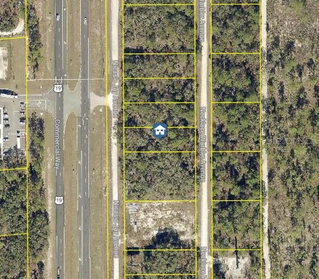 Photo of 16 Necklace Warbler Avenue, Brooksville, FL 34614 (MLS # W7881611)