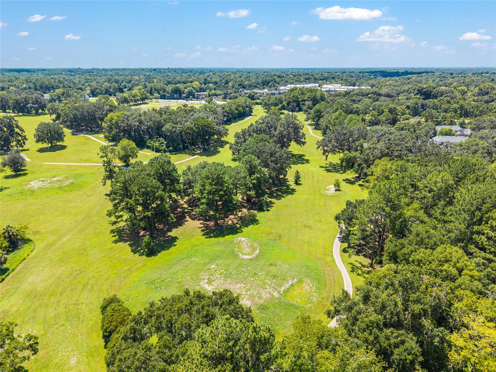 FAIRWAY POINTE AT WEST END - Residential