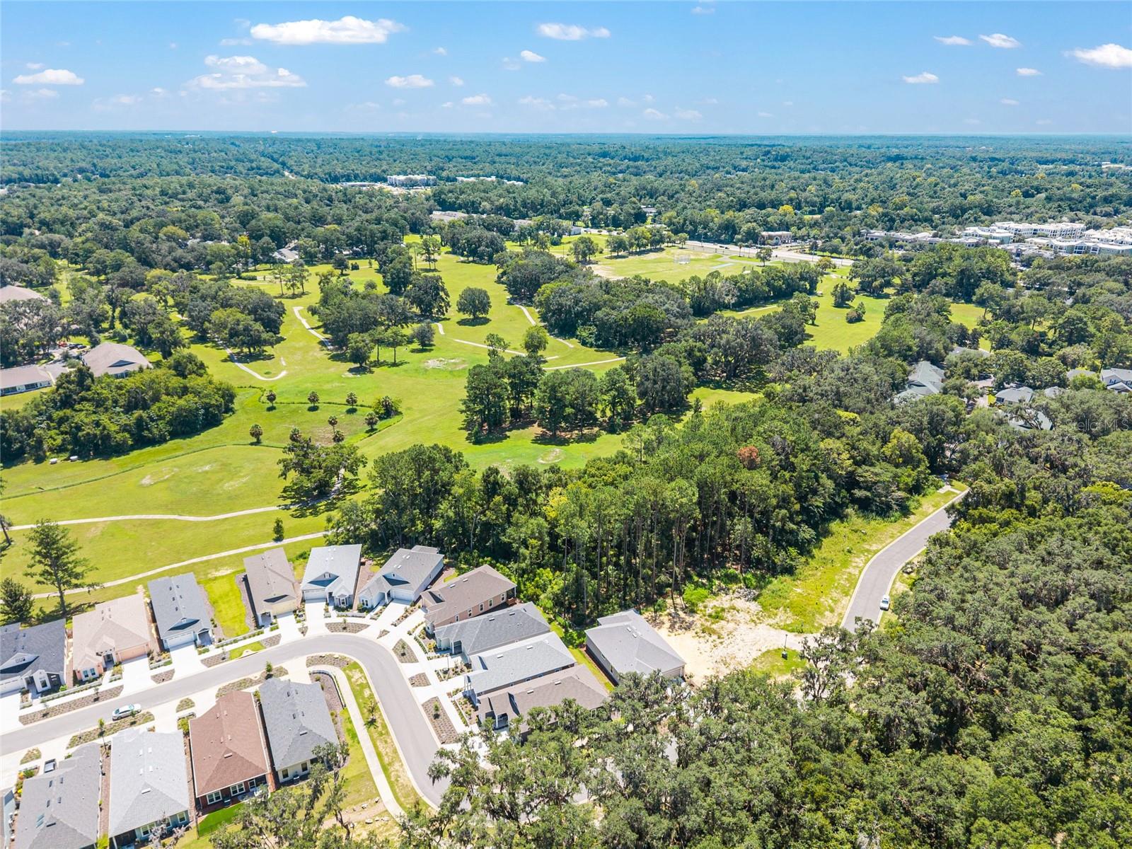 FAIRWAY POINTE AT WEST END - Residential
