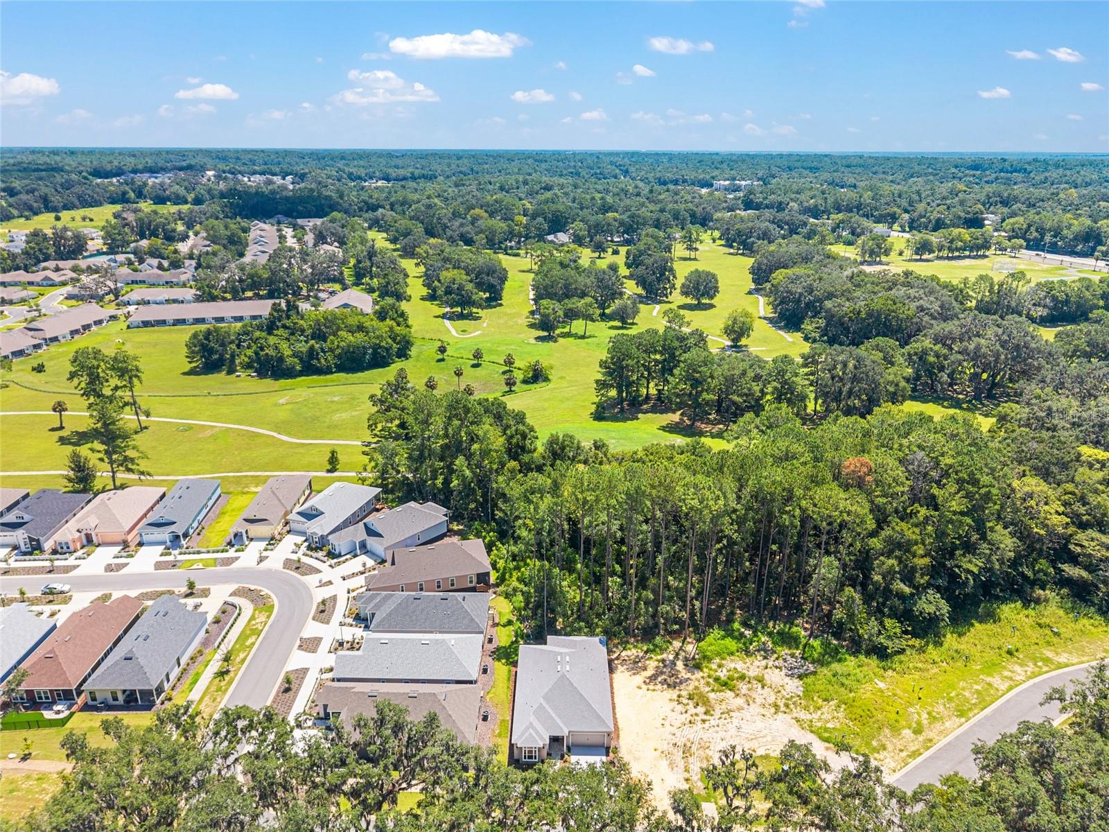 FAIRWAY POINTE AT WEST END - Residential