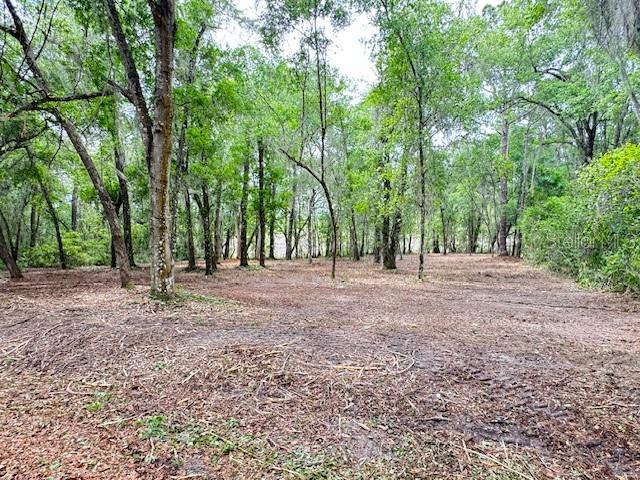 SILVER SPGS SHORES UN 34 - Land