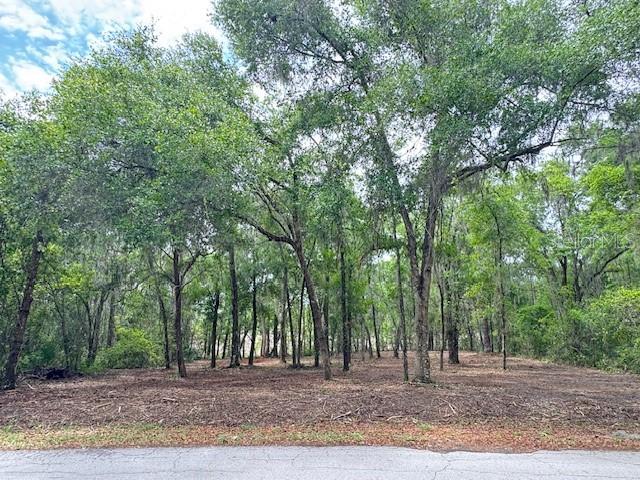 SILVER SPGS SHORES UN 34 - Land