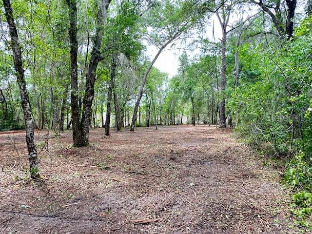 SILVER SPGS SHORES UN 34 - Land