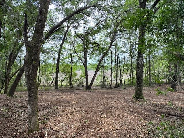 SILVER SPGS SHORES UN 34 - Land