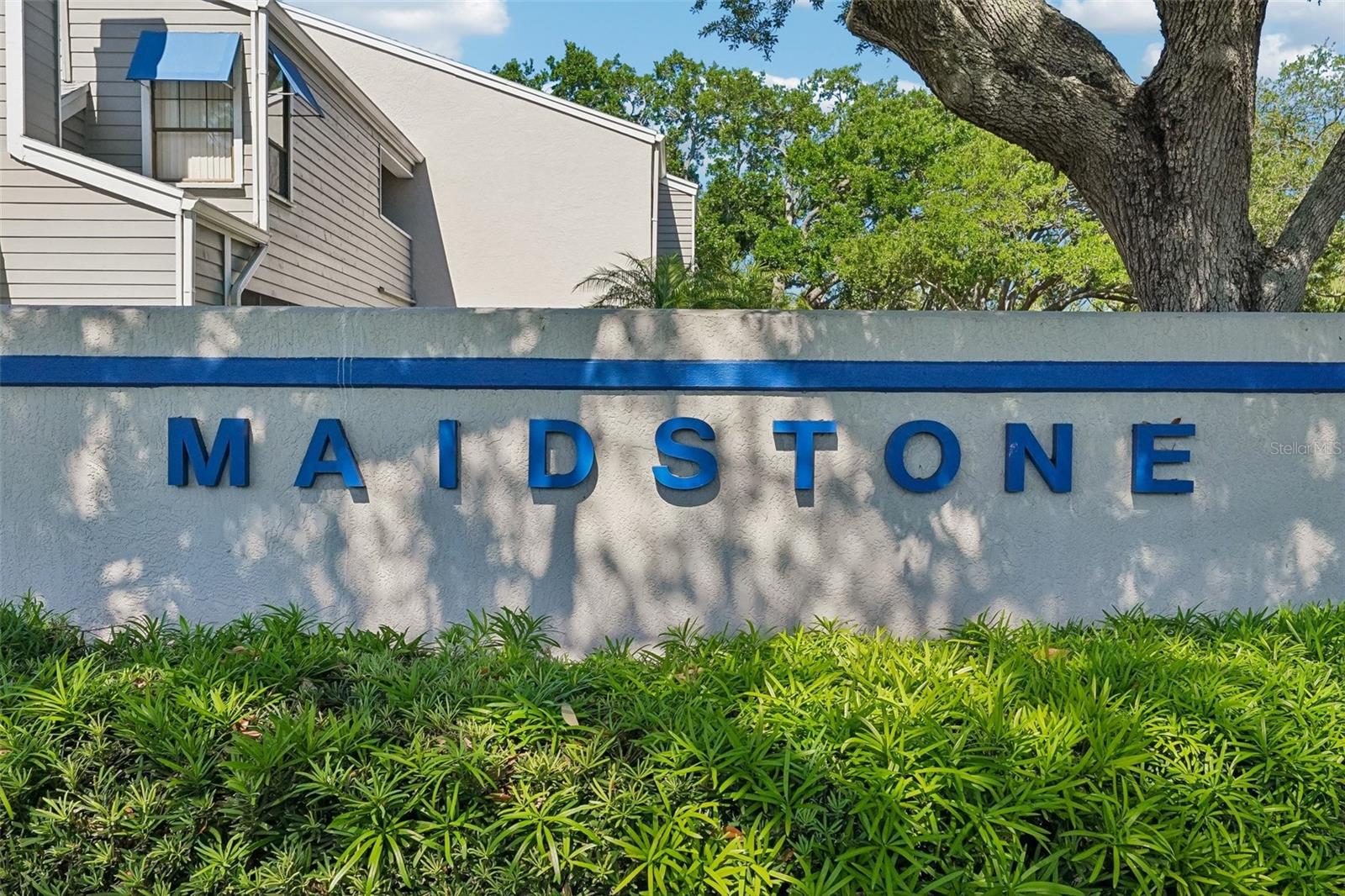 MAIDSTONE CONDO - Residential