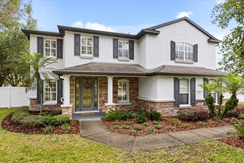 141 DOMMERICH DRIVE MAITLAND FL 32751