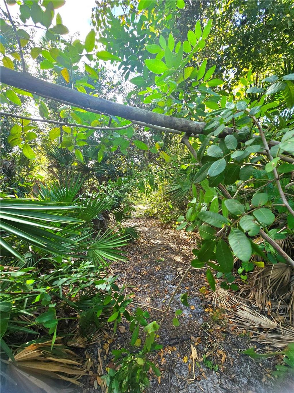 Photo of 6625 Sim Barco Road, Palmetto, FL 34221 (MLS # A4669798)
