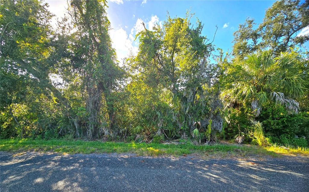 Photo of 6625 Sim Barco Road, Palmetto, FL 34221 (MLS # A4669798)