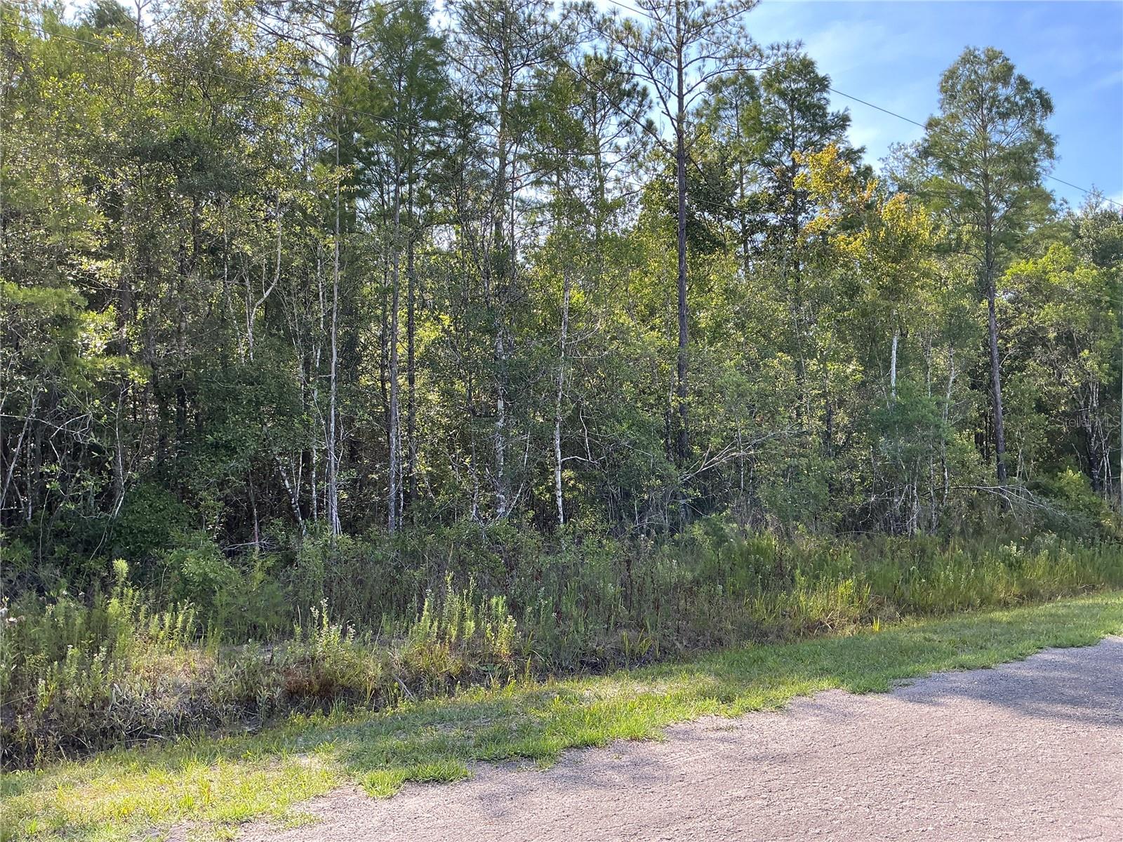 FLAGLER ESTATES UNIT 1 UNPLATTED - Land