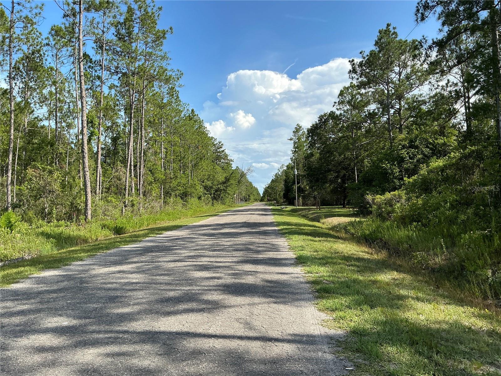 FLAGLER ESTATES UNIT 1 UNPLATTED - Land