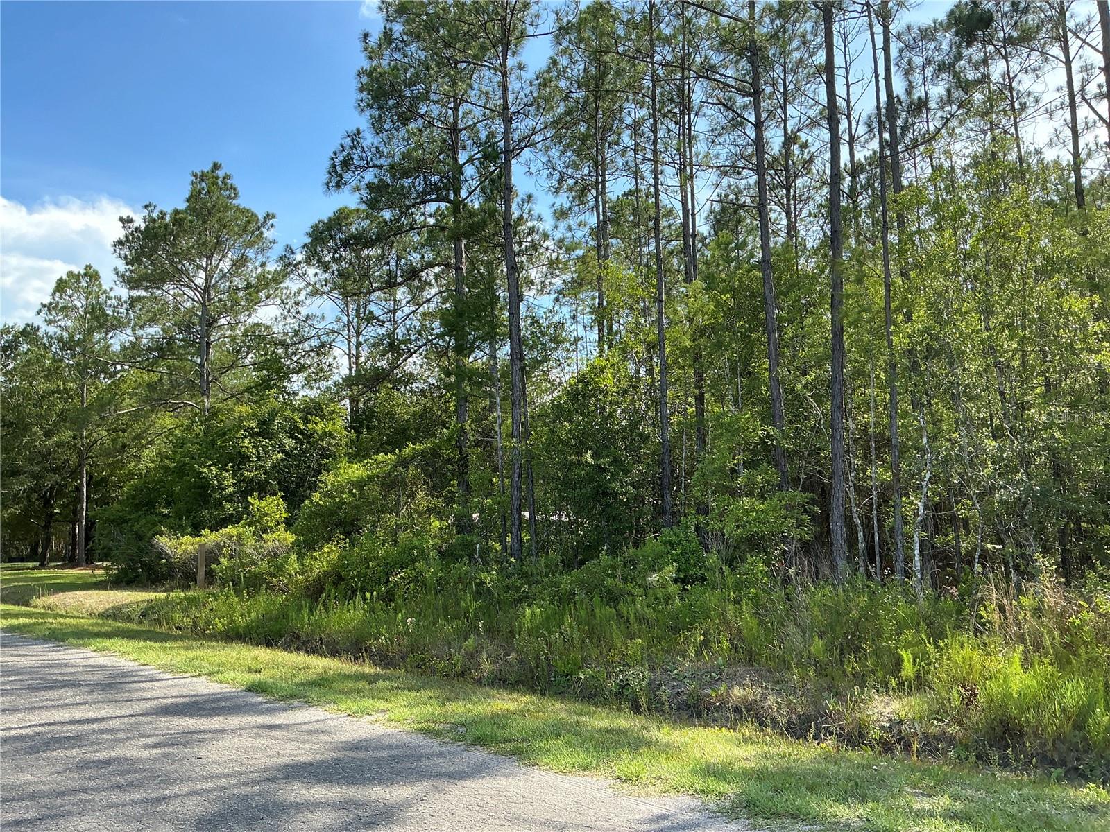 FLAGLER ESTATES UNIT 1 UNPLATTED - Land