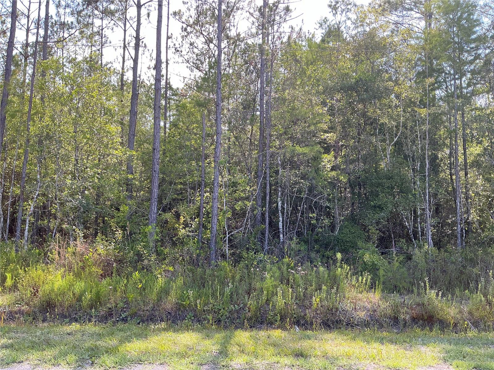 FLAGLER ESTATES UNIT 1 UNPLATTED - Land