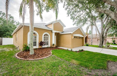 A home in TAMPA