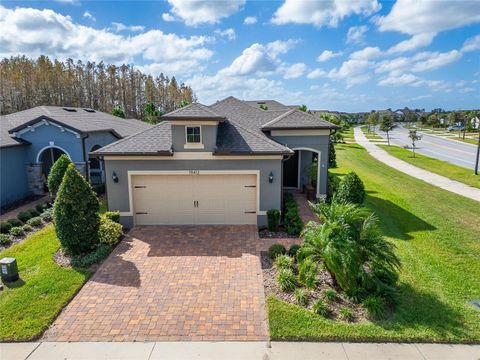 A home in LAND O LAKES