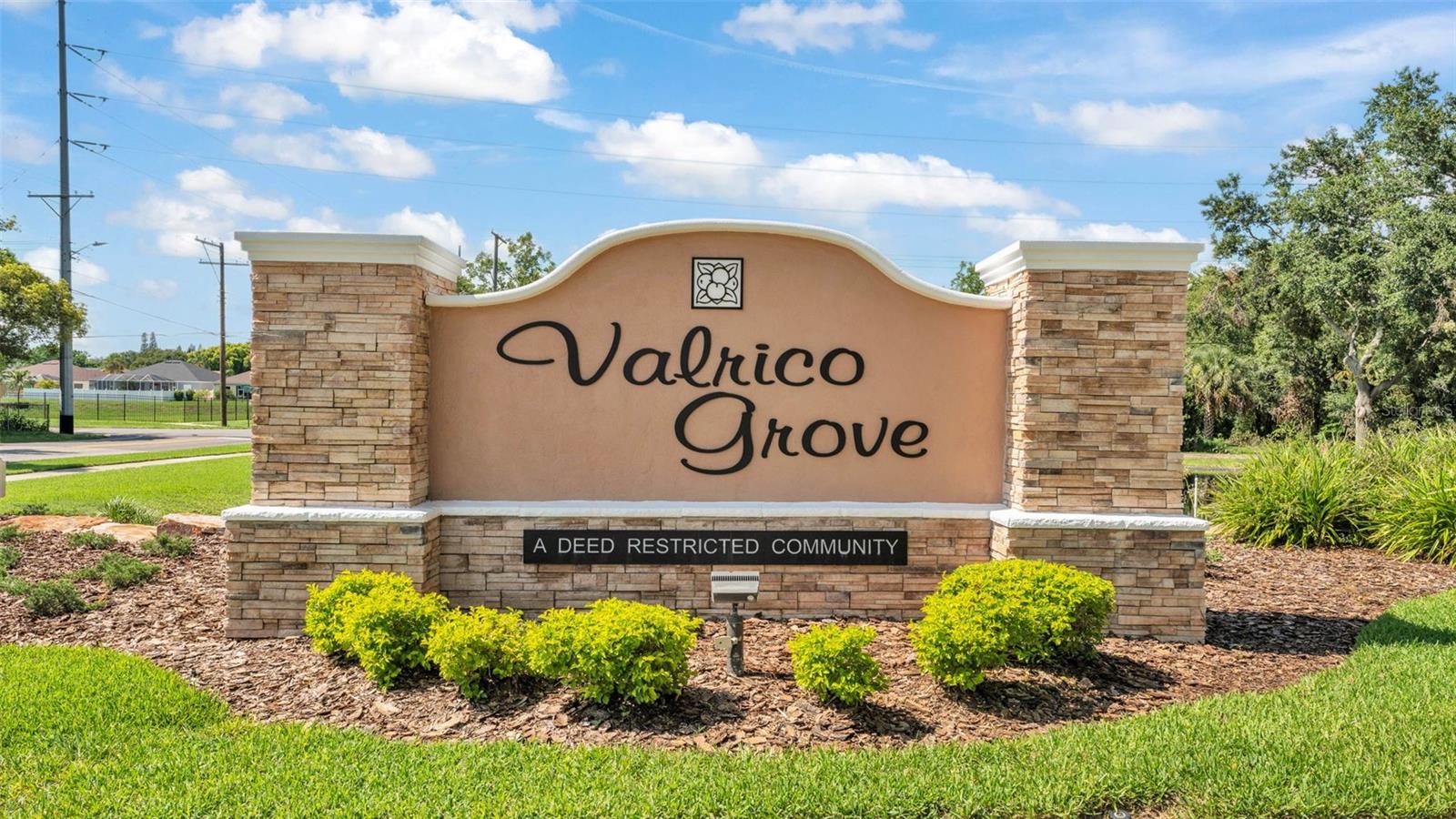 VALRICO GROVES - Residential