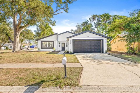 A home in PALM HARBOR