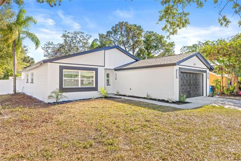 A home in PALM HARBOR