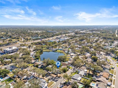 A home in PALM HARBOR