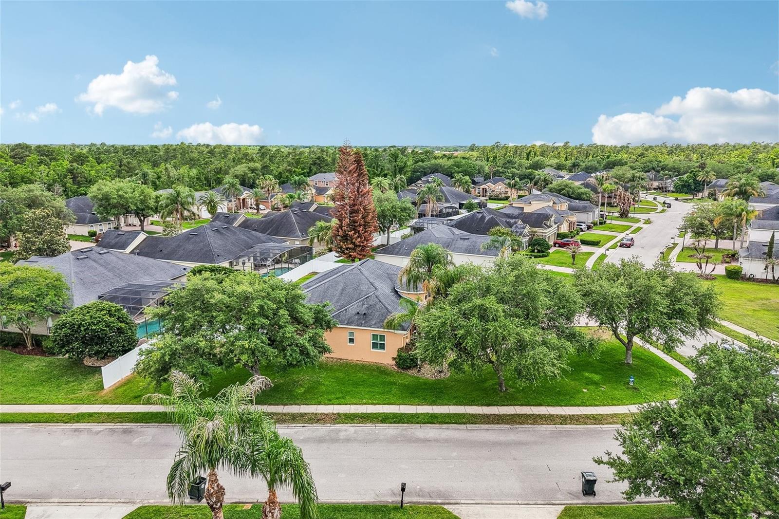 SANCTUARY PH 1 VILLAGE 6 - Residential