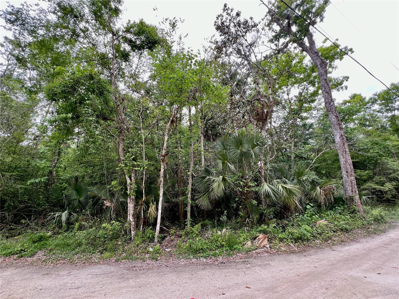 This 7-acre sanctuary offers a unique blend of secluded country charm and unmatched convenience with no HOA. Its distinct shape ensures utmost privacy, providing the perfect canvas for your dream oasis. Despite its tranquil rural setting, this property is just minutes from the bustling attractions of Kissimmee and Orlando, including the magical world of Disney, offering a serene retreat amidst the excitement. Picture cultivating your own garden, raising chickens, or enjoying the local wildlife, from deer to turtles and an array of birds, all within the confines of your expansive estate. Positioned conveniently near Hwy 429, I-4, and ChampionsGate, it offers easy access to urban amenities while maintaining a secluded feel. This lot represents not just a piece of land, but the doorway to a life where privacy, nature, and convenience meet. Seize this exceptional chance to create your sanctuary in one of the most desirable locations. Buyers are encouraged to conduct their own feasibility study, environmental due diligence, and survey to ensure the property meets their intended use.
