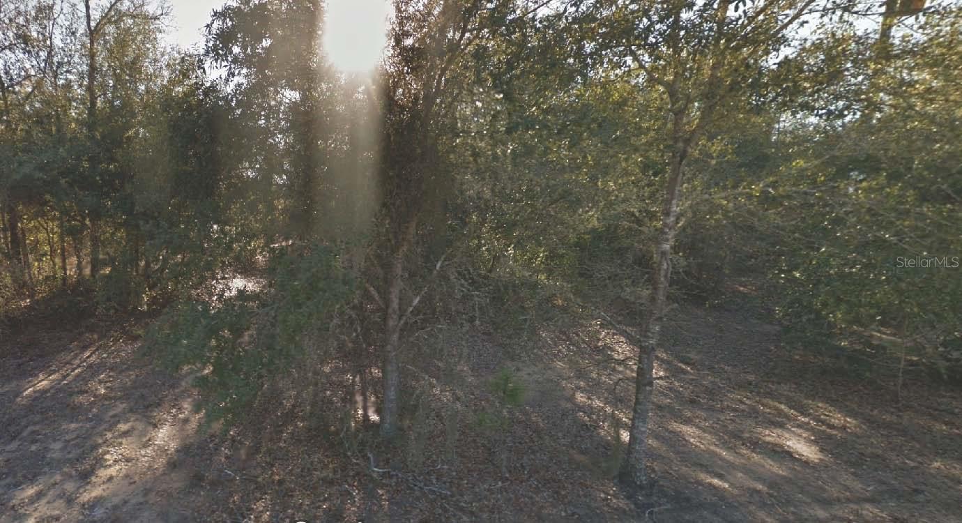 GRANDIN LAKE HEIGHTS SUB - Land