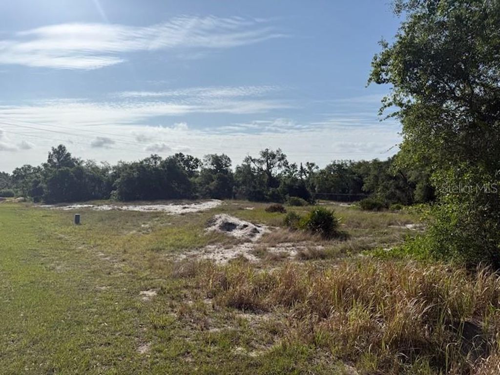 Photo of Cedarwood Drive, Lake Wales, FL 33898 (MLS # S5148266)