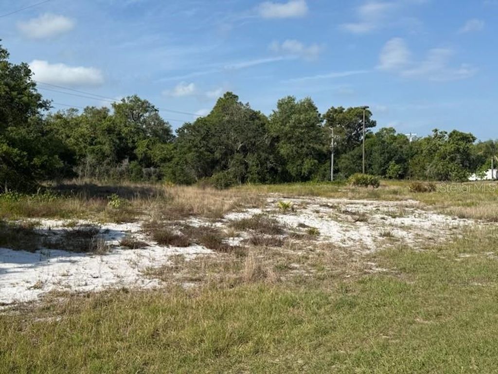 Photo of Cedarwood Drive, Lake Wales, FL 33898 (MLS # S5148266)