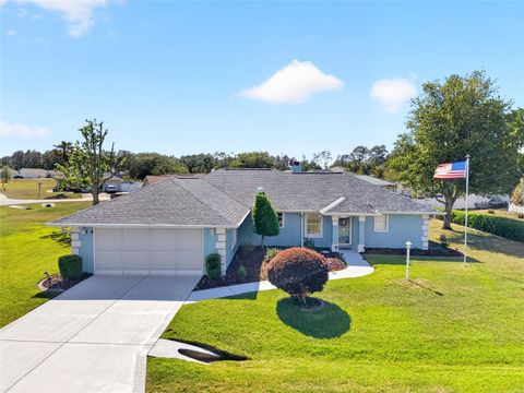 Photo of 64 Bahia Trace Circle, Ocala, FL 34472 (MLS # OM723380)