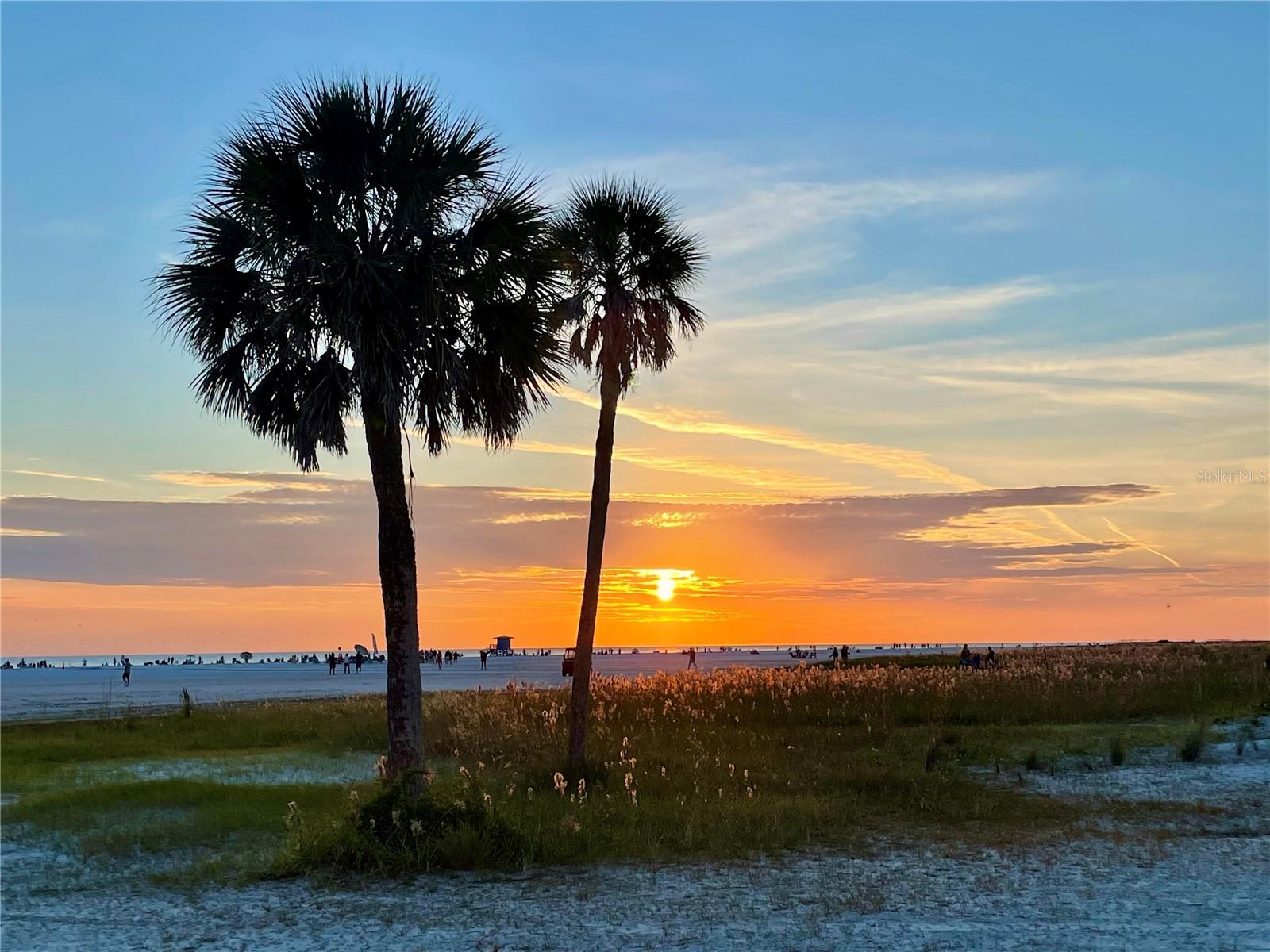 SARASOTA BEACH - Residential