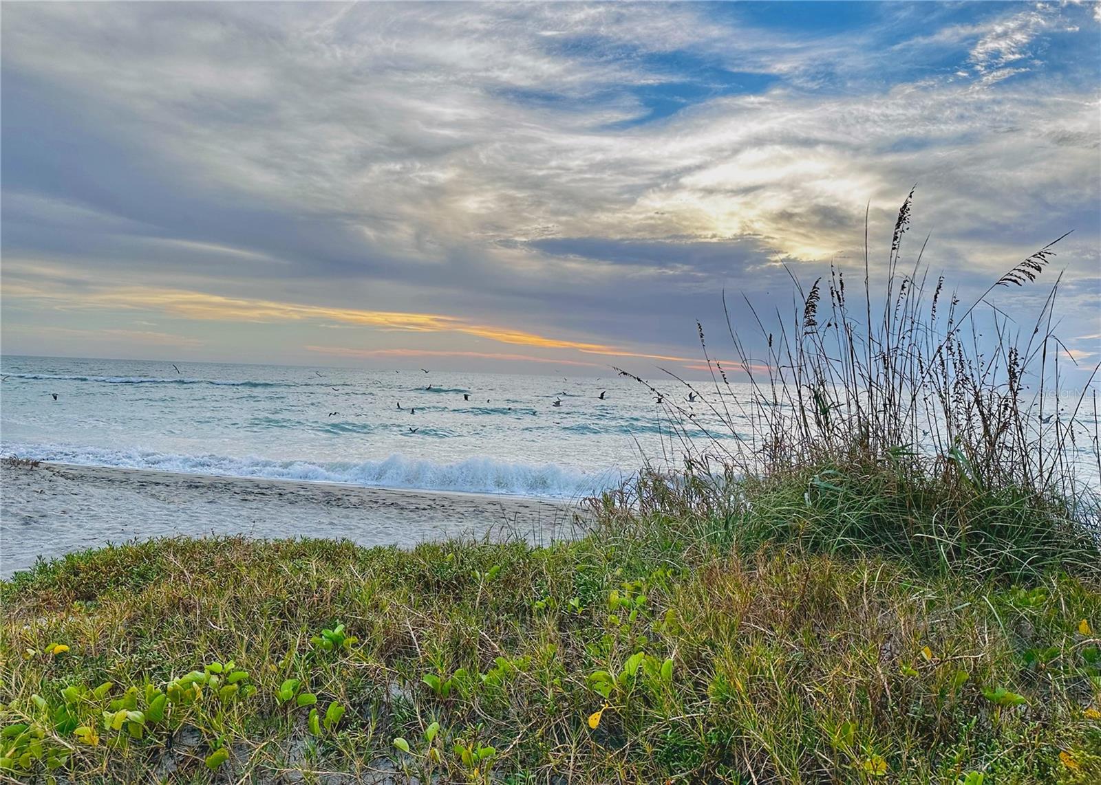 SARASOTA BEACH - Residential