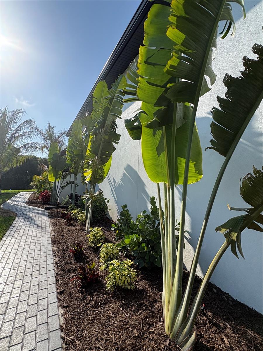 SARASOTA BEACH - Residential