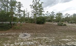 LEHIGH ACRES - Land