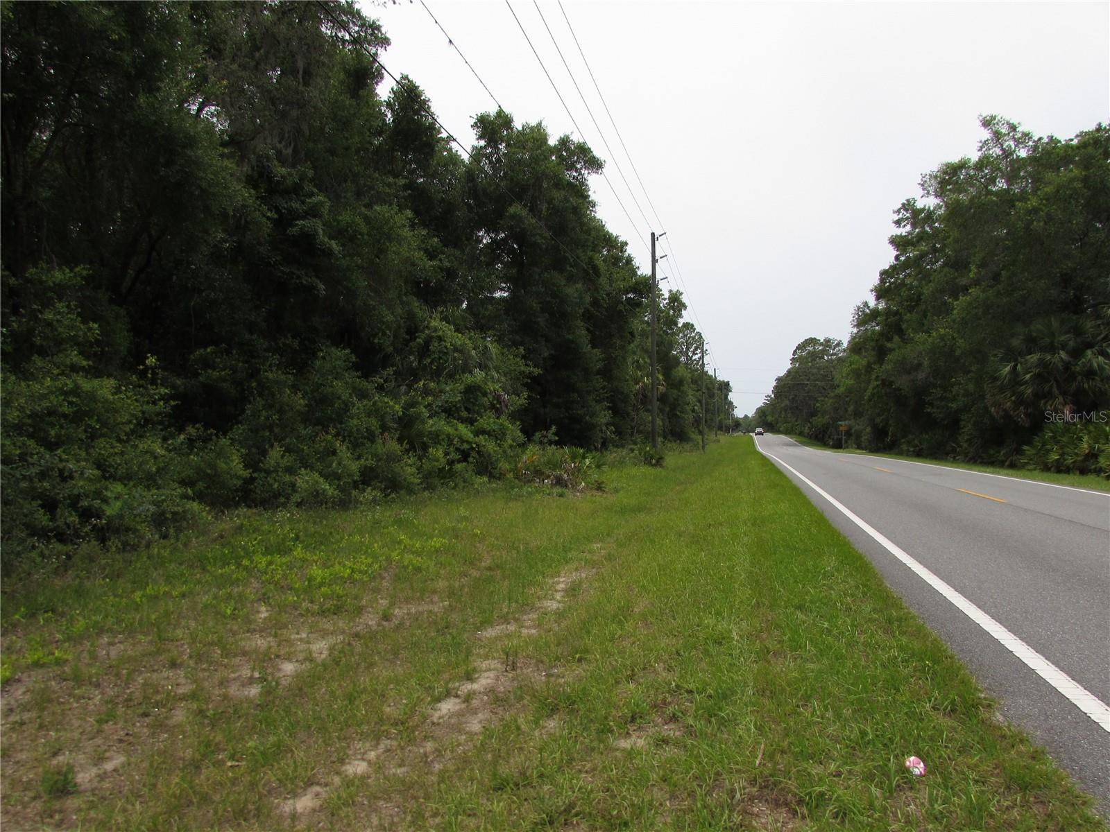 BUILDING LOT .27 ACRE, 98 X 120, LOCATED ON THE CORNER OF CR 488 W (W DUNNELLON RD) AND N PARSNIP TER. WEST OF CR 495 (CITRUS AVE) CONVENIENT DRIVE TO DUNNELLON OR CRYSTAL RIVER. BUILD NOW OR INVEST FOR THE FUTURE.