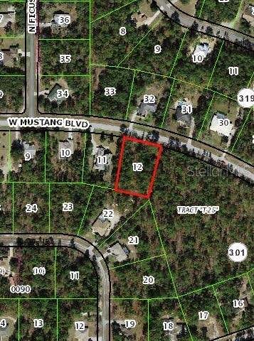 Photo of 3014 W Mustang Boulevard, Beverly Hills, FL 34465 (MLS # OM727619)
