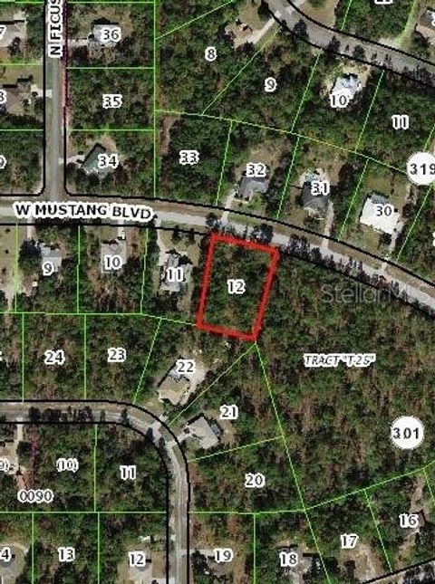 Photo of 3014 W Mustang Boulevard, Beverly Hills, FL 34465 (MLS # OM727619)