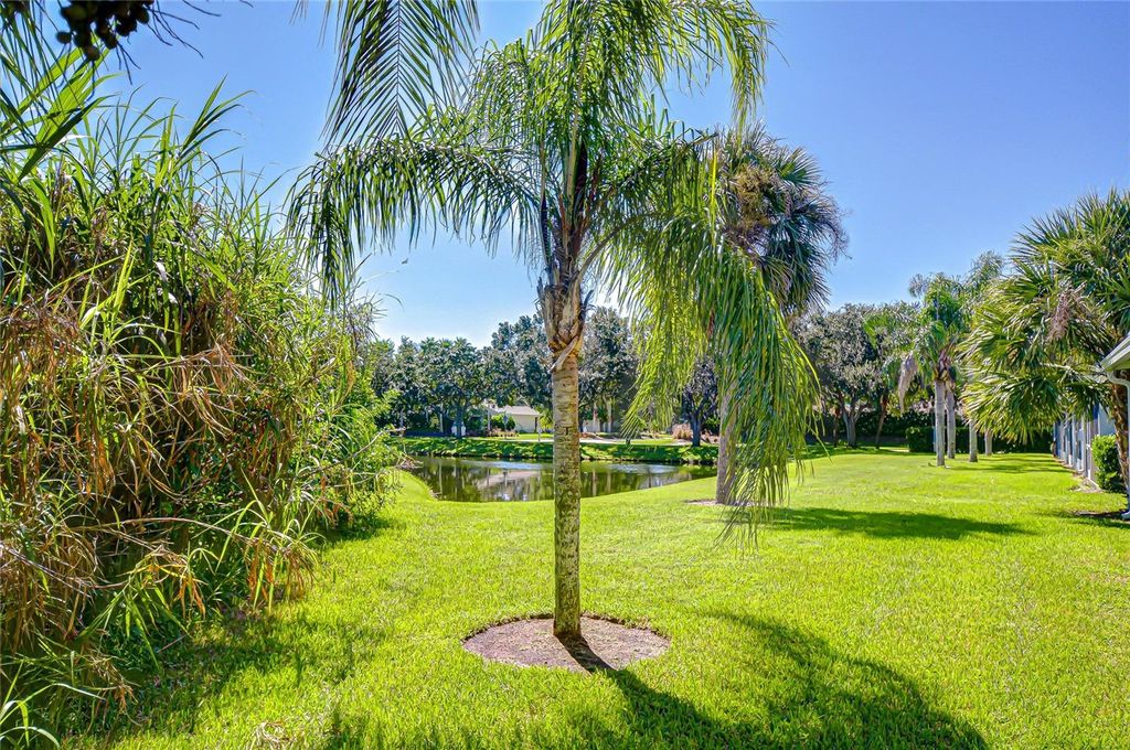 Photo of 11025 Winter Crest Drive, Riverview, FL 33569 (MLS # TB8430166)