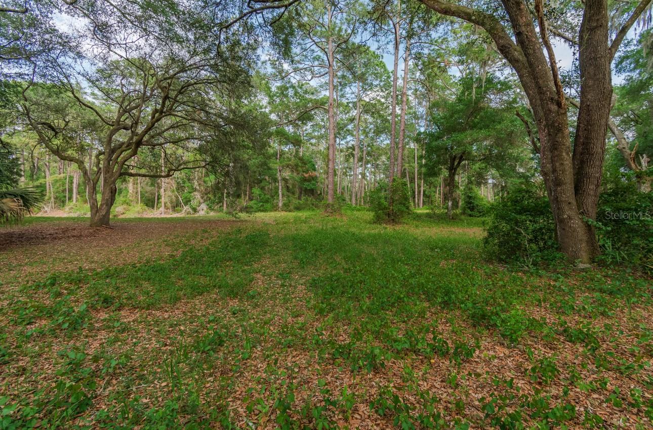 LAKE GARDENS CITRUS CO UNREC - Land